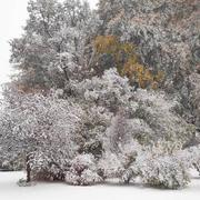 Combrailles 28/10/2018