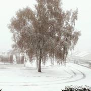 Marsac-en-Livradois 28/10/2018