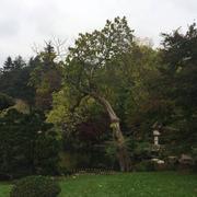 Maulévrier 28/10/2018