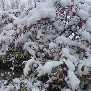 Saint-Ours-les-Roches 29/10/2018