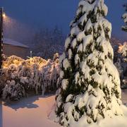 Yssingeaux 29/10/2018