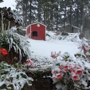 Montfranc 30/10/2018