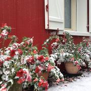 Montfranc 30/10/2018