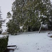 Auboncourt-Vauzelles 30/10/2018