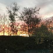 Grande-Synthe 03/11/2018