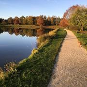 Fougerolles-du-Plessis 06/11/2018