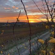 Bouresches 07/11/2018