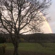 Le Ménil 10/11/2018