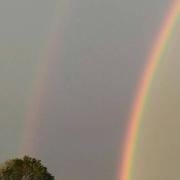 Charnay-lès-Mâcon 10/11/2018