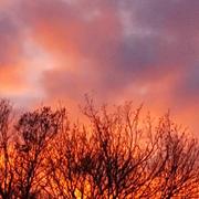 Le Thoronet 10/11/2018