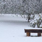 Launois-sur-Vence 11/11/2018