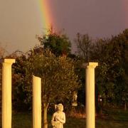 Thaumiers 11/11/2018