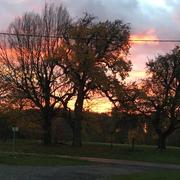 Viel-Saint-Remy 12/11/2018