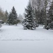 Saint-Hilaire-Saint-Mesmin 12/11/2018