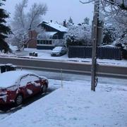 Montréal 14/11/2018