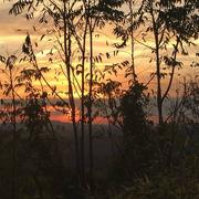 Puylaroque 14/11/2018