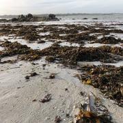 Guissény 15/11/2018