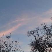 Septfonds 15/11/2018