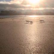 Plougonven 16/11/2018