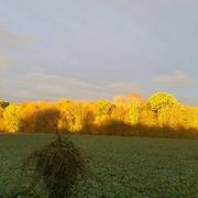 Le Bignon-Mirabeau 18/11/2018