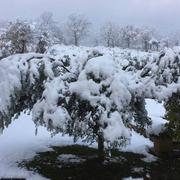 Saint-Priest 20/11/2018