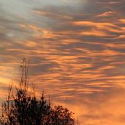 Puynormand 21/11/2018