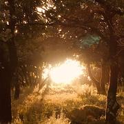 Garéoult 23/11/2018