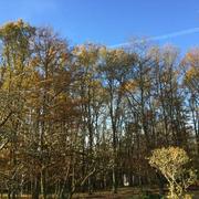 Chouzy-sur-Cisse 29/11/2018