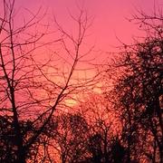 Thugny-Trugny 02/12/2018