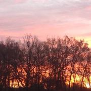 La Ferté-Saint-Aubin 05/12/2018