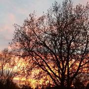 Septfonds 05/12/2018