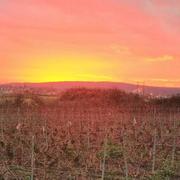 Bouresches 06/12/2018