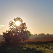 Saint-Gervasy 10/12/2018