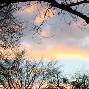 Thugny-Trugny 15/12/2018