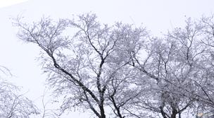 Rovaniemi le lieu de résidence du Père Noël