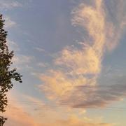 Les Brouzils 20/12/2018