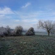 Champigny 27/12/2018