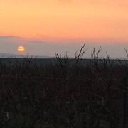 Juillac-le-Coq 29/12/2018