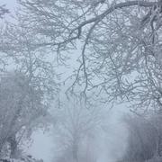 Saint-Symphorien-sur-Coise 06/01/2019