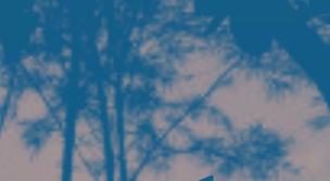 Découvrez les 6 meilleures destinations pour cet été