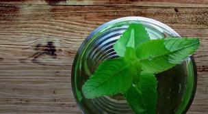 Chaleur quel type de boissons pour s'hydrater