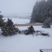 Saint-Maurice-en-Gourgois 10/01/2019