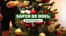 Sapin de Noël : quand faut-il l'acheter ?