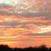 Saint-André-des-Eaux 10/01/2019