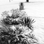 Vieu-d'Izenave 12/01/2019