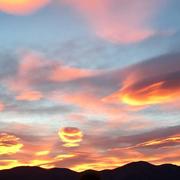 Venterol 12/01/2019