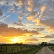 Aubigny-en-Plaine 14/01/2019