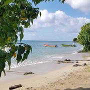 Sainte-Luce 14/01/2019