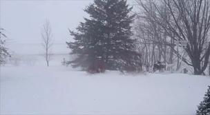 Quand peut-on parler de vague de froid