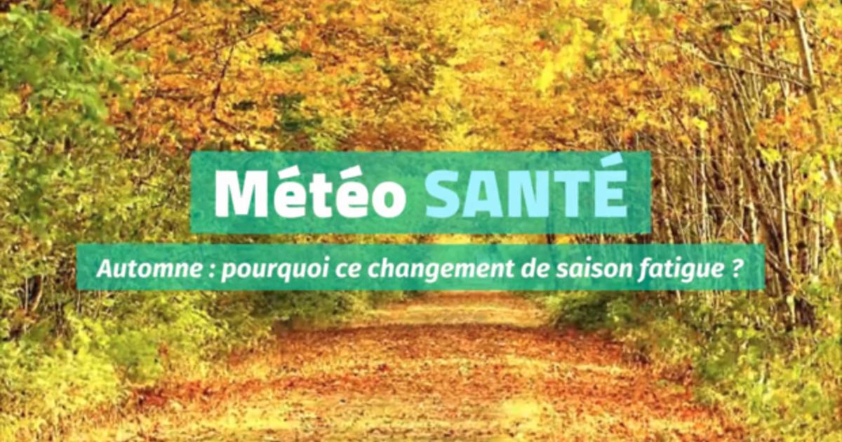 Automne pourquoi ce changement de saison nous fatigue ? Actualités — free download